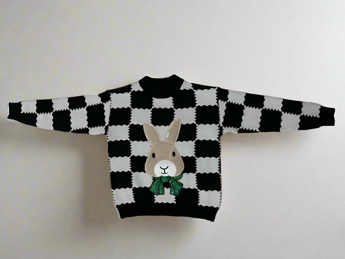 Cozy & Stylish Pure Wool Youngsters's Fleece-Lined Sweater with Trendy Design