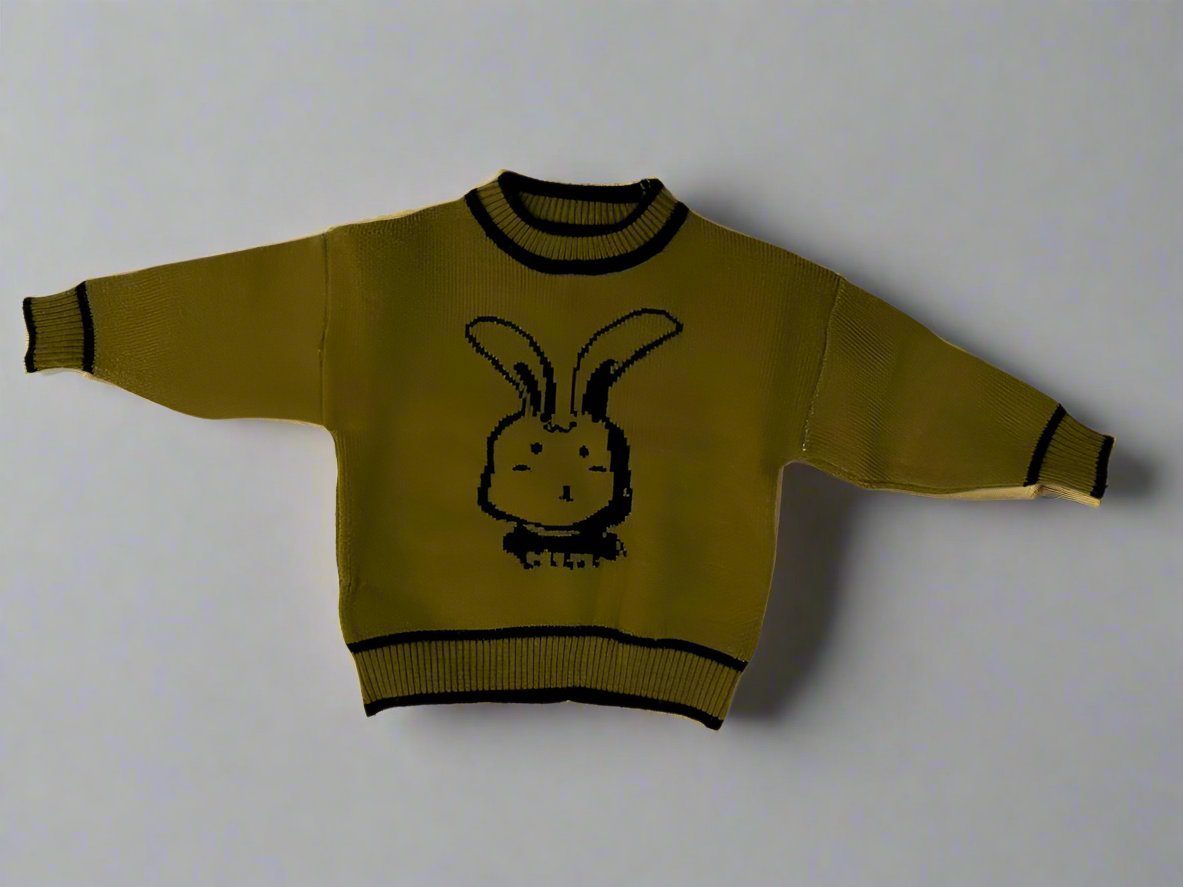 Cozy & Stylish Pure Wool Youngsters's Fleece-Lined Sweater with Trendy Print