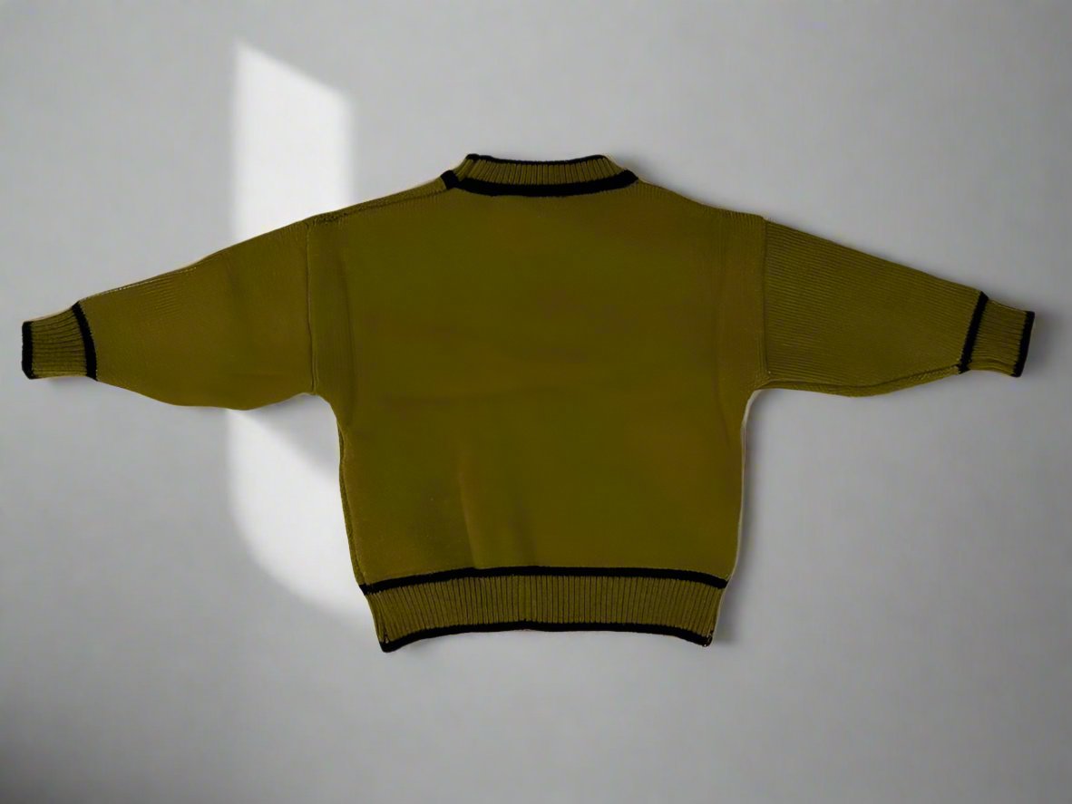 Cozy & Stylish Pure Wool Youngsters's Fleece-Lined Sweater with Trendy Print