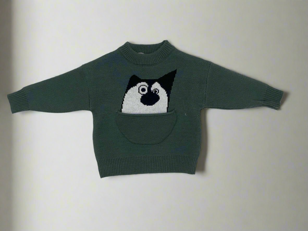 Cozy & Stylish Pure Wool Youngsters's Fleece-Lined Sweater with Trendy Print