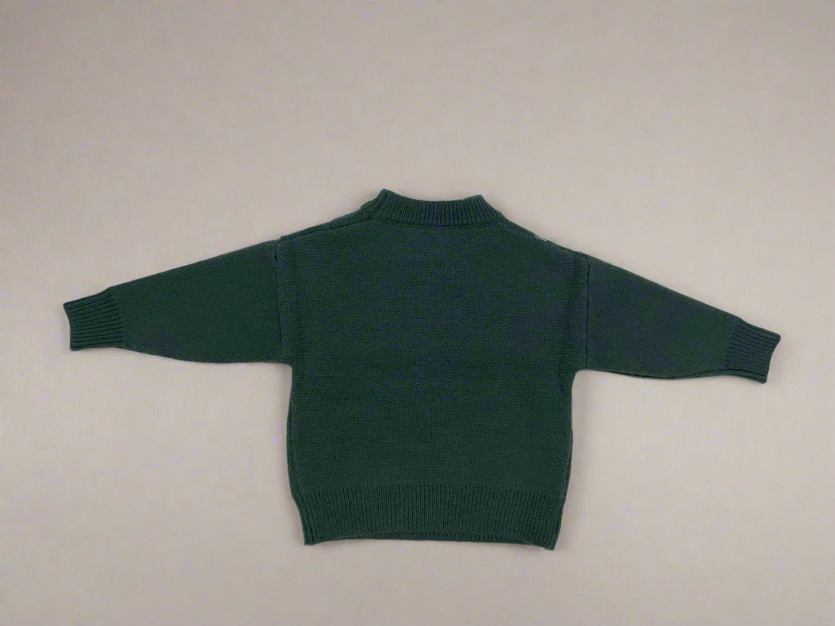 Cozy & Stylish Pure Wool Youngsters's Fleece-Lined Sweater with Trendy Print