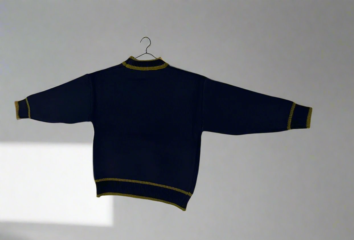 Cozy & Stylish Pure Wool Youngsters's Fleece-Lined Sweater with Trendy Print