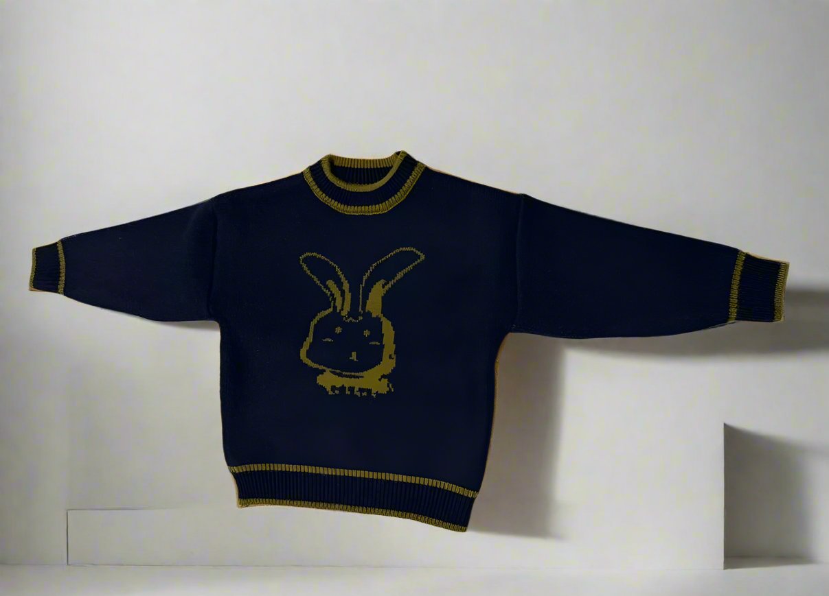 Cozy & Stylish Pure Wool Youngsters's Fleece-Lined Sweater with Trendy Print